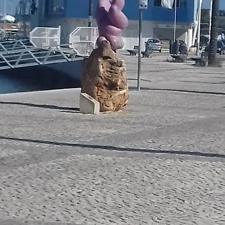 To Rent In Praia Da Rocha-portimao-portugal *
